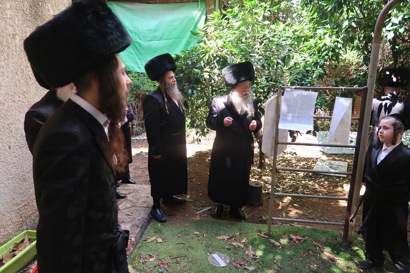 האדמו"ר מקוזמיר בברכת האילנות