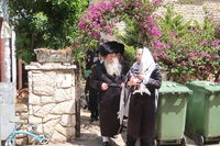 האדמו"ר מקוזמיר בברכת האילנות