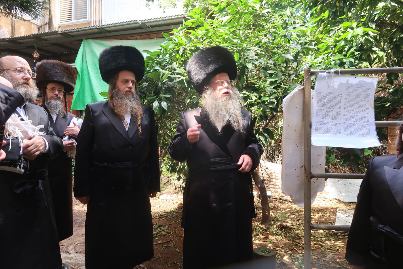 האדמו"ר מקוזמיר בברכת האילנות