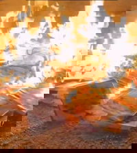 תיעוד שריפת מגשי הפיצה בחול המועד