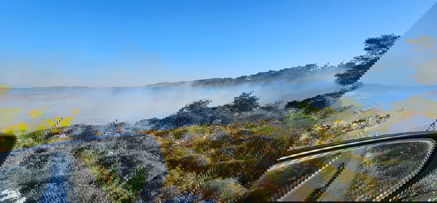 השריפה שפרצה