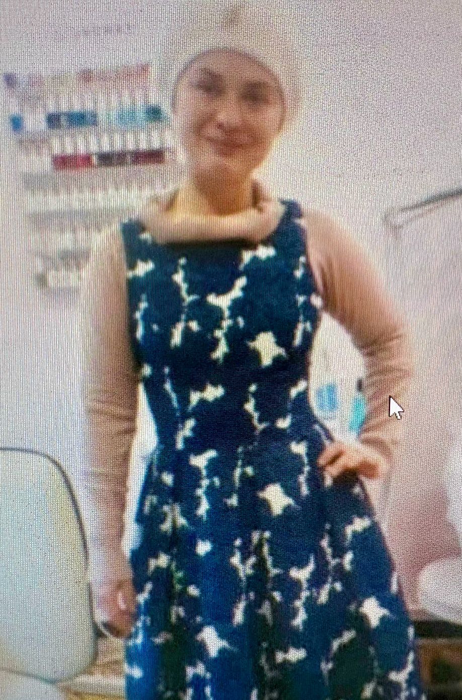 ראיתם אותה? חיפושים אחר הכנרית המיתולוגית מירושלים