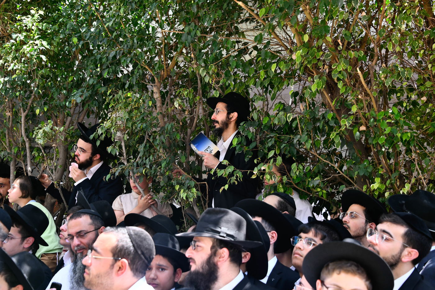 מסע הלויית הגאון רבי מאיר מאזוז זצ"ל