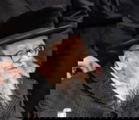 הגה"צ גאב"ד פאלטישאן זצ"ל