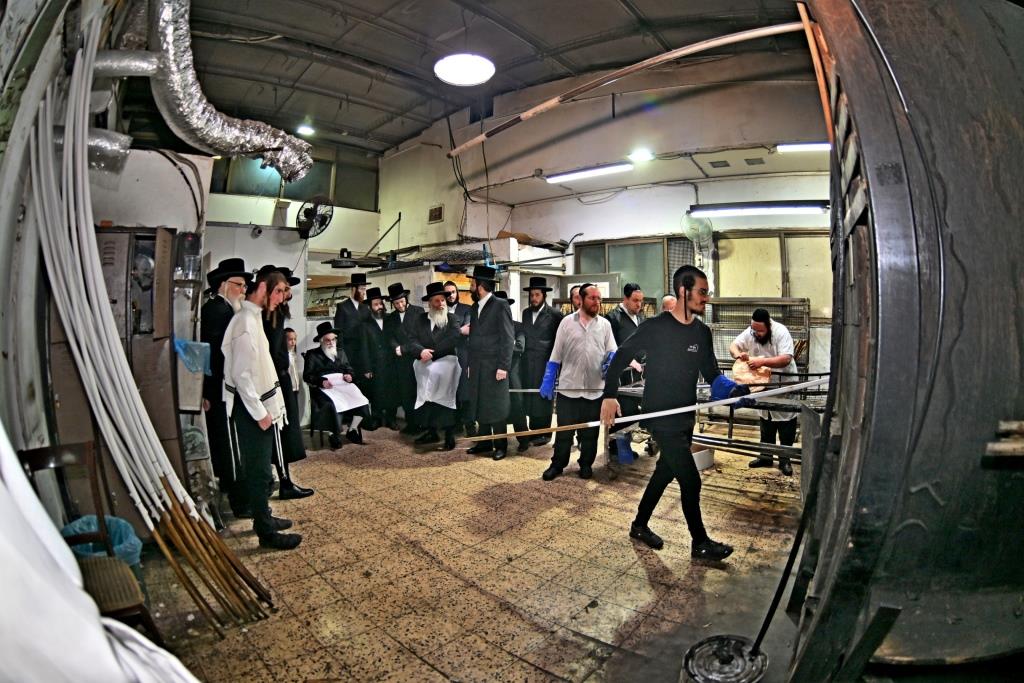 פסח בחצה"ק ויזניץ