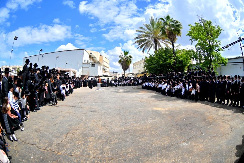 פסח בחצה"ק ויזניץ