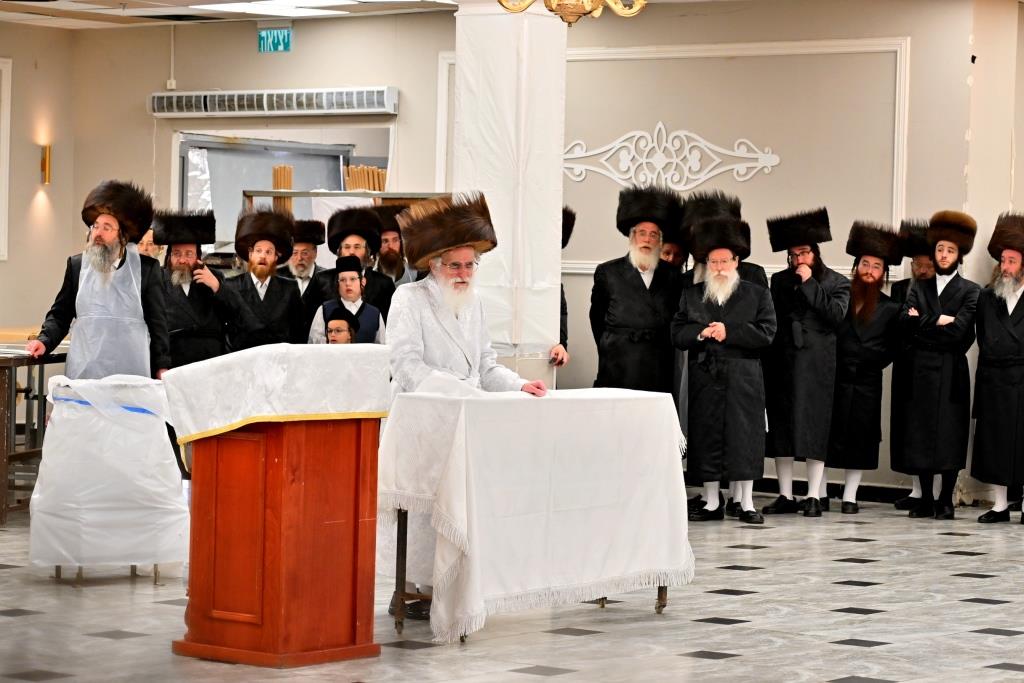 פסח בחצה"ק ויזניץ