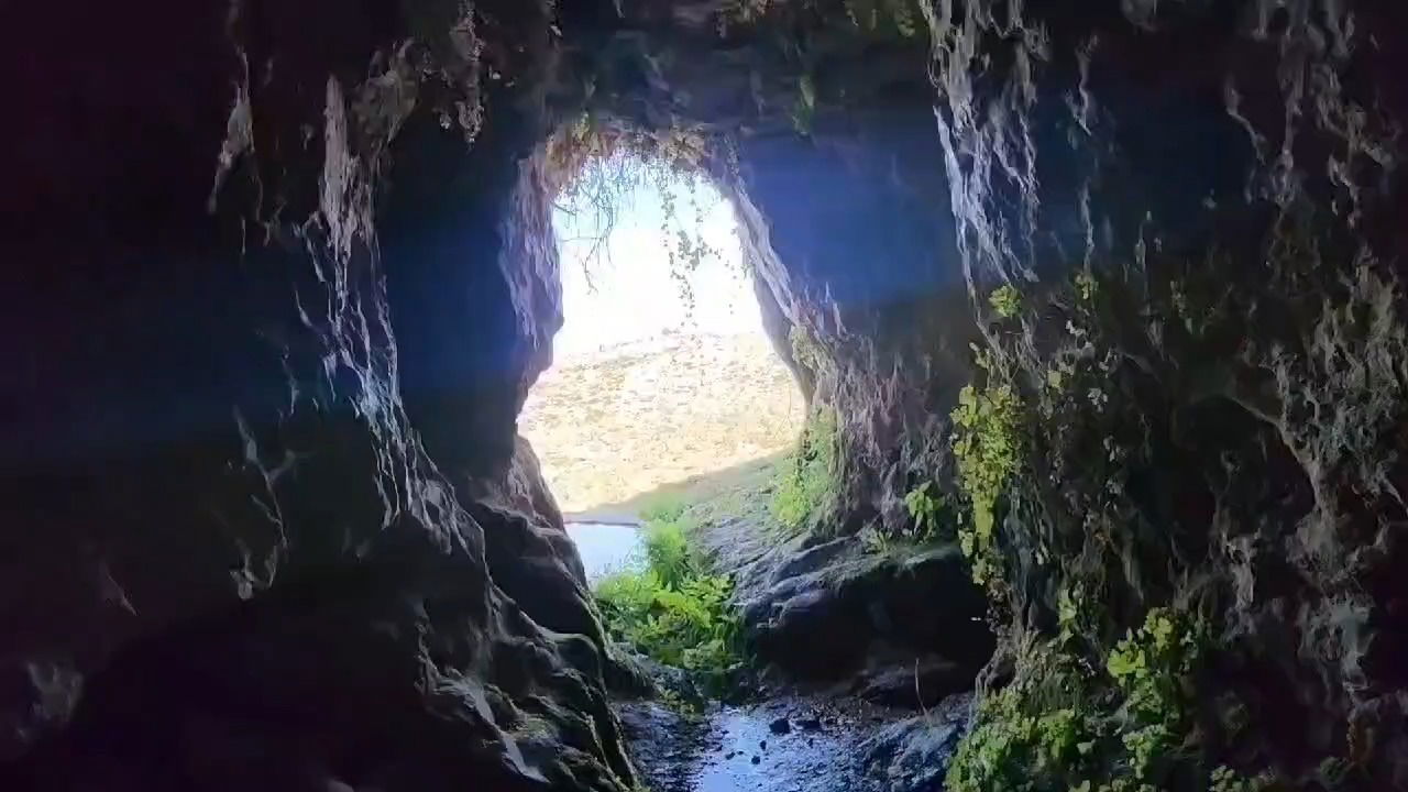 מעין עין תיבנה בפאתי תל תיבנה