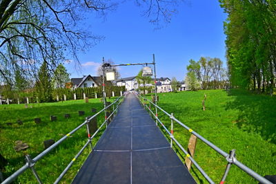 מראות ההכנות להילולא קדישא בצאנז