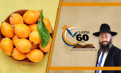 דיני ברכת 'שהחיינו' על בגד או פרי חדש בספירת העומר • צפו 