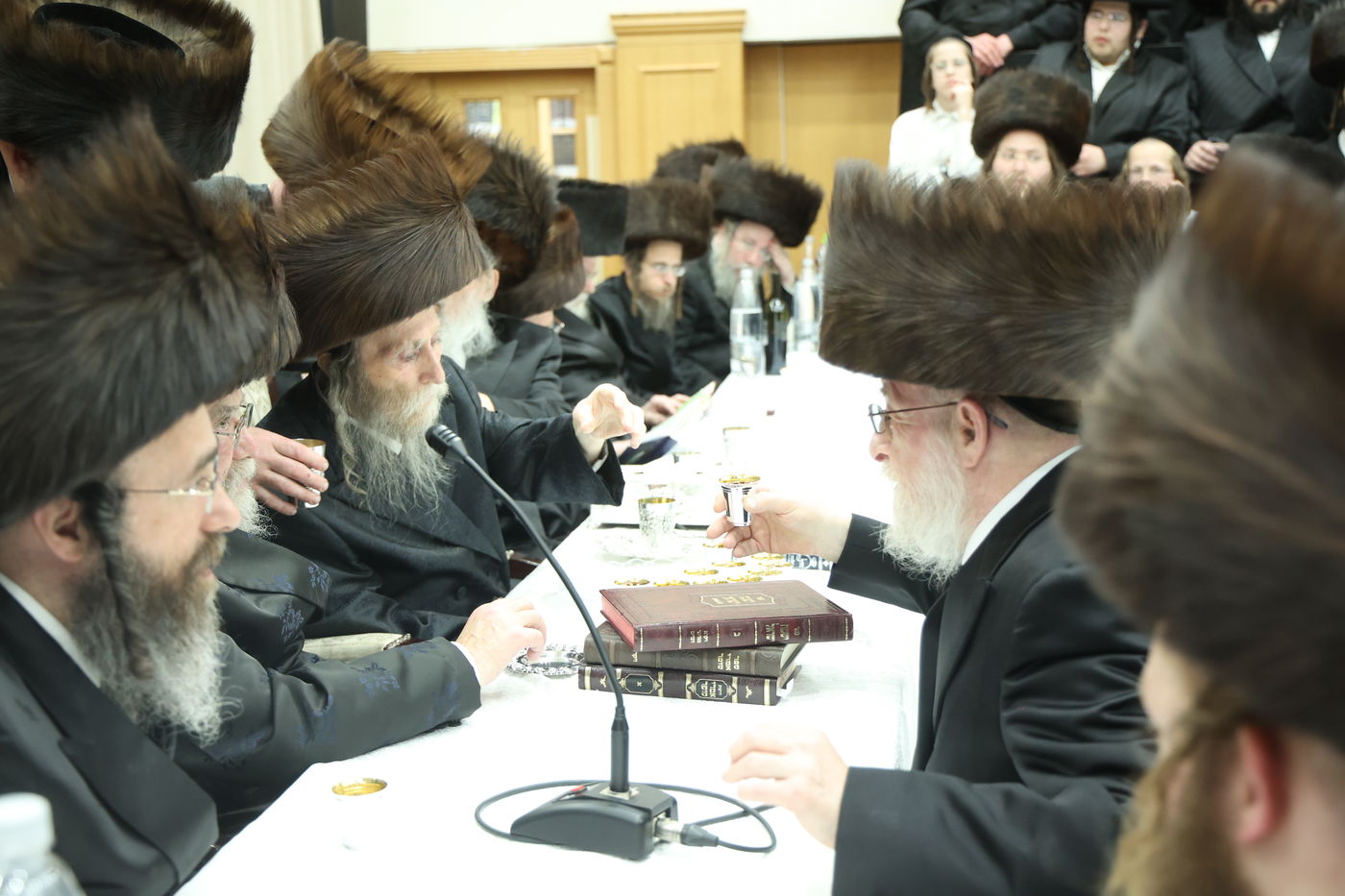 האדמו"ר מערלוי בטיש חוה"מ פסח