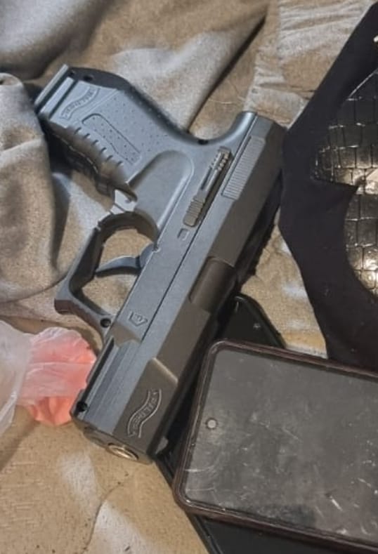 קוף מסוג למור קטה הנמצא בסכנת הכחדה הוחזק בבית פרטי