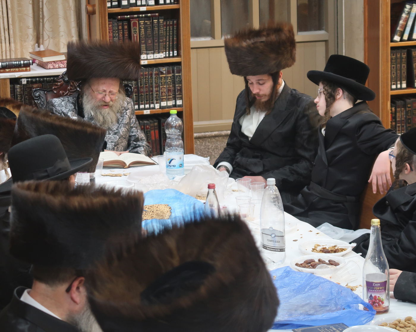 חג הפסח בחצה"ק נדבורנה באניא