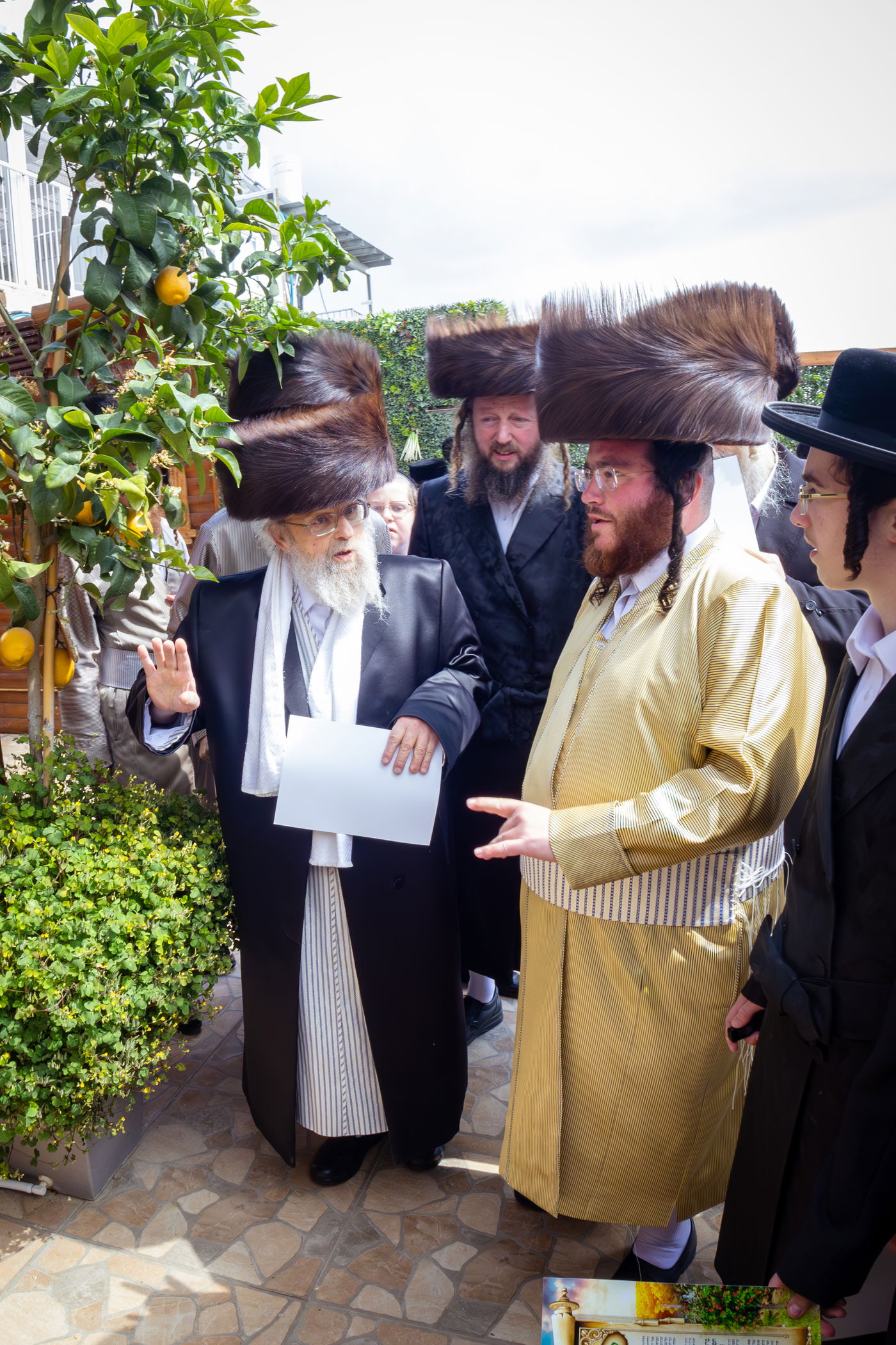 האדמו"ר מפינסק קרלין בברכת האילנות