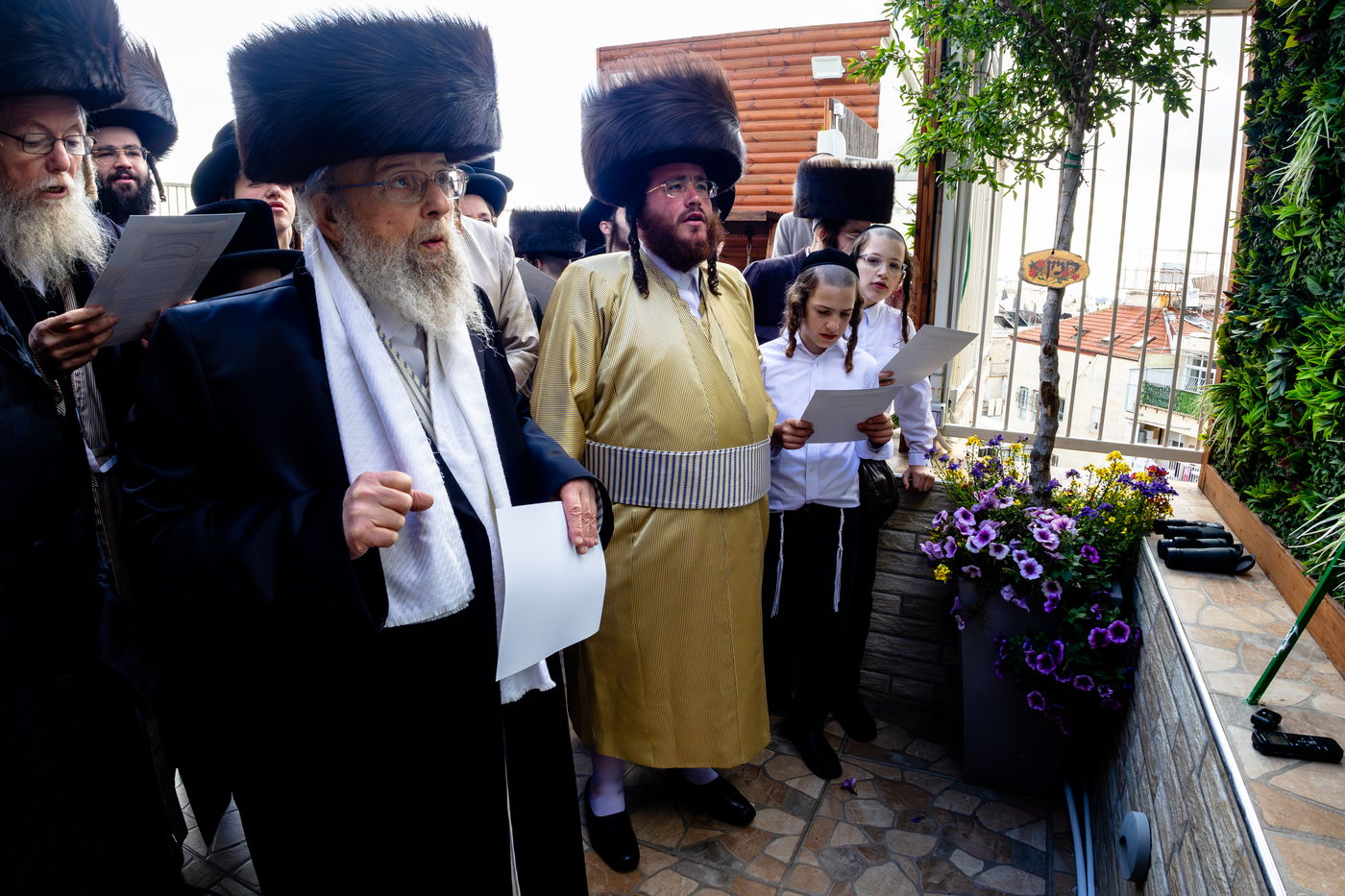 האדמו"ר מפינסק קרלין בברכת האילנות