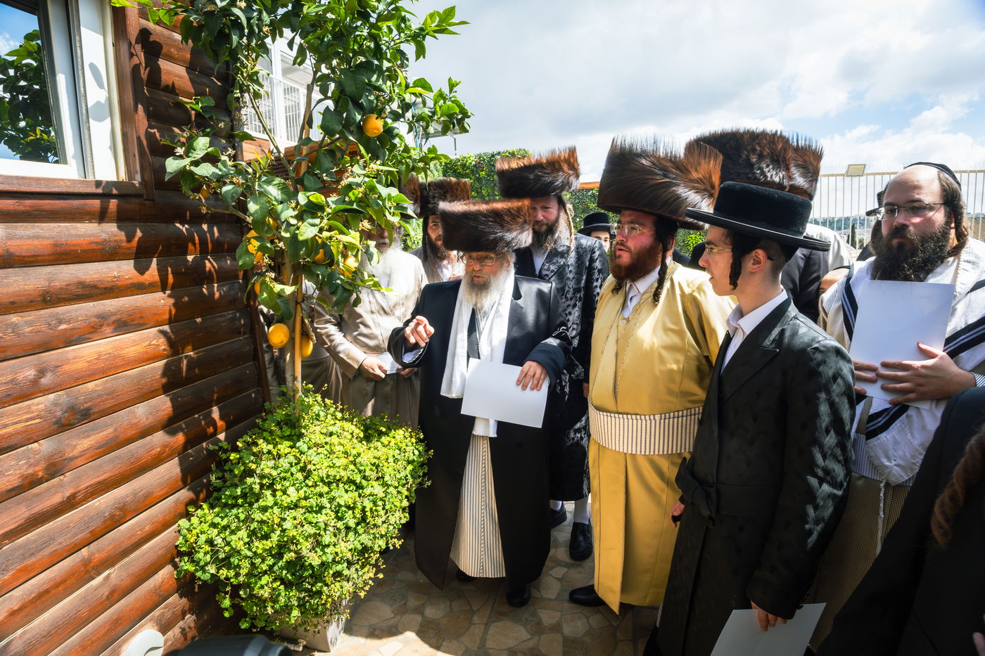 האדמו"ר מפינסק קרלין בברכת האילנות