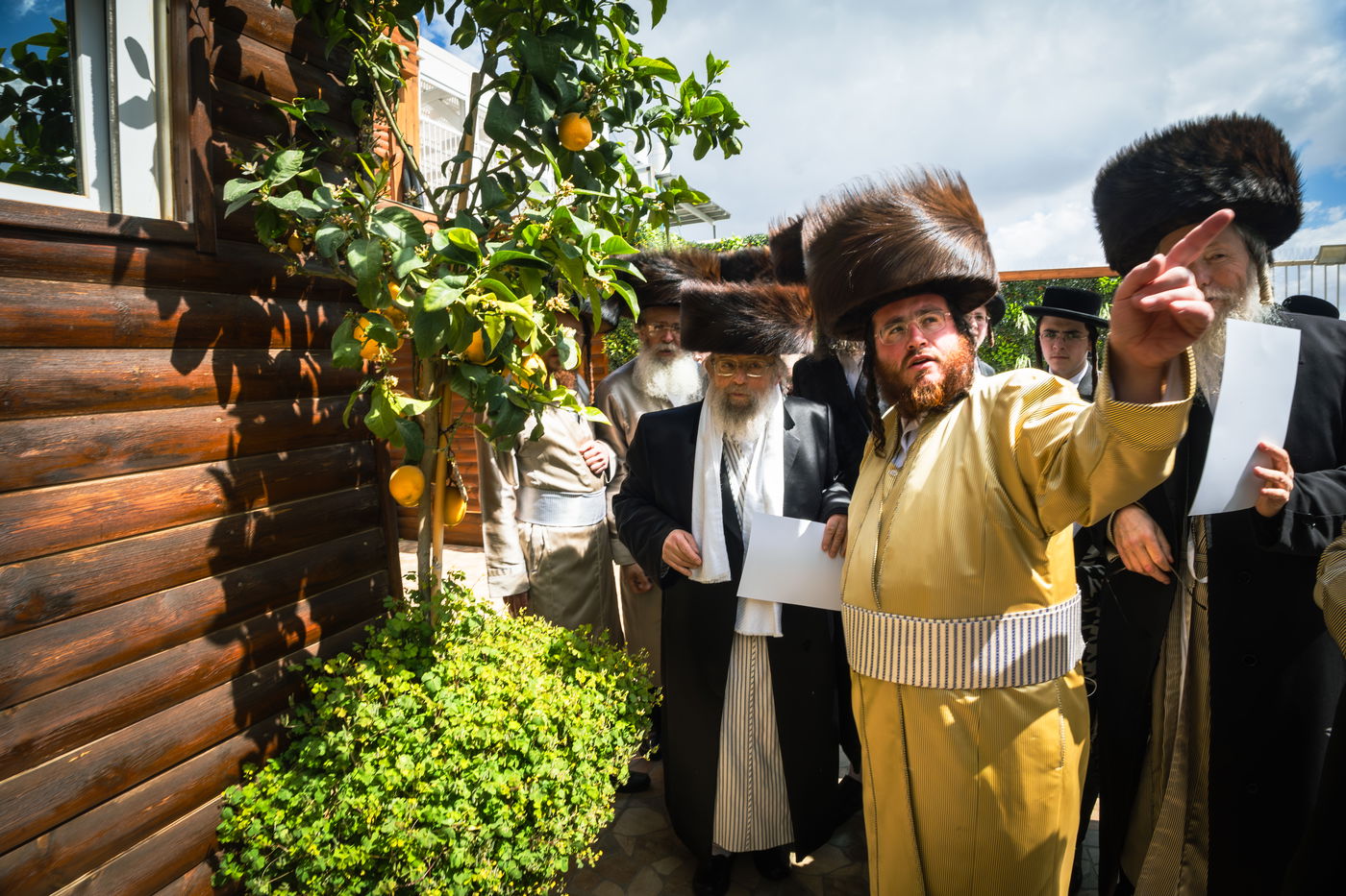 האדמו"ר מפינסק קרלין בברכת האילנות