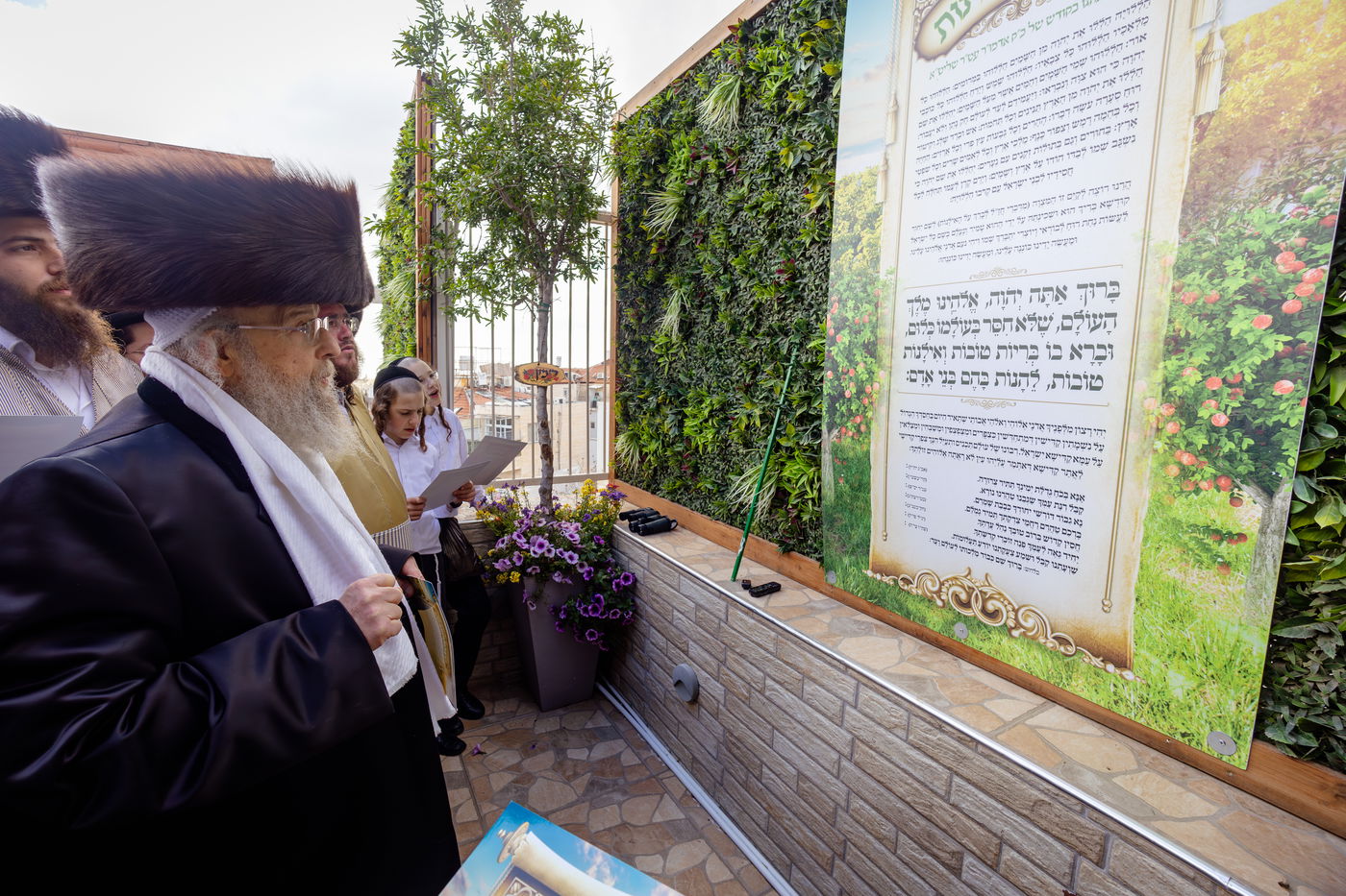 האדמו"ר מפינסק קרלין בברכת האילנות