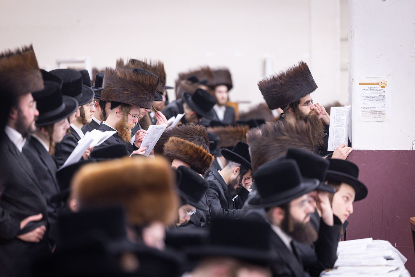 פסח בחצה"ק באבוב 45