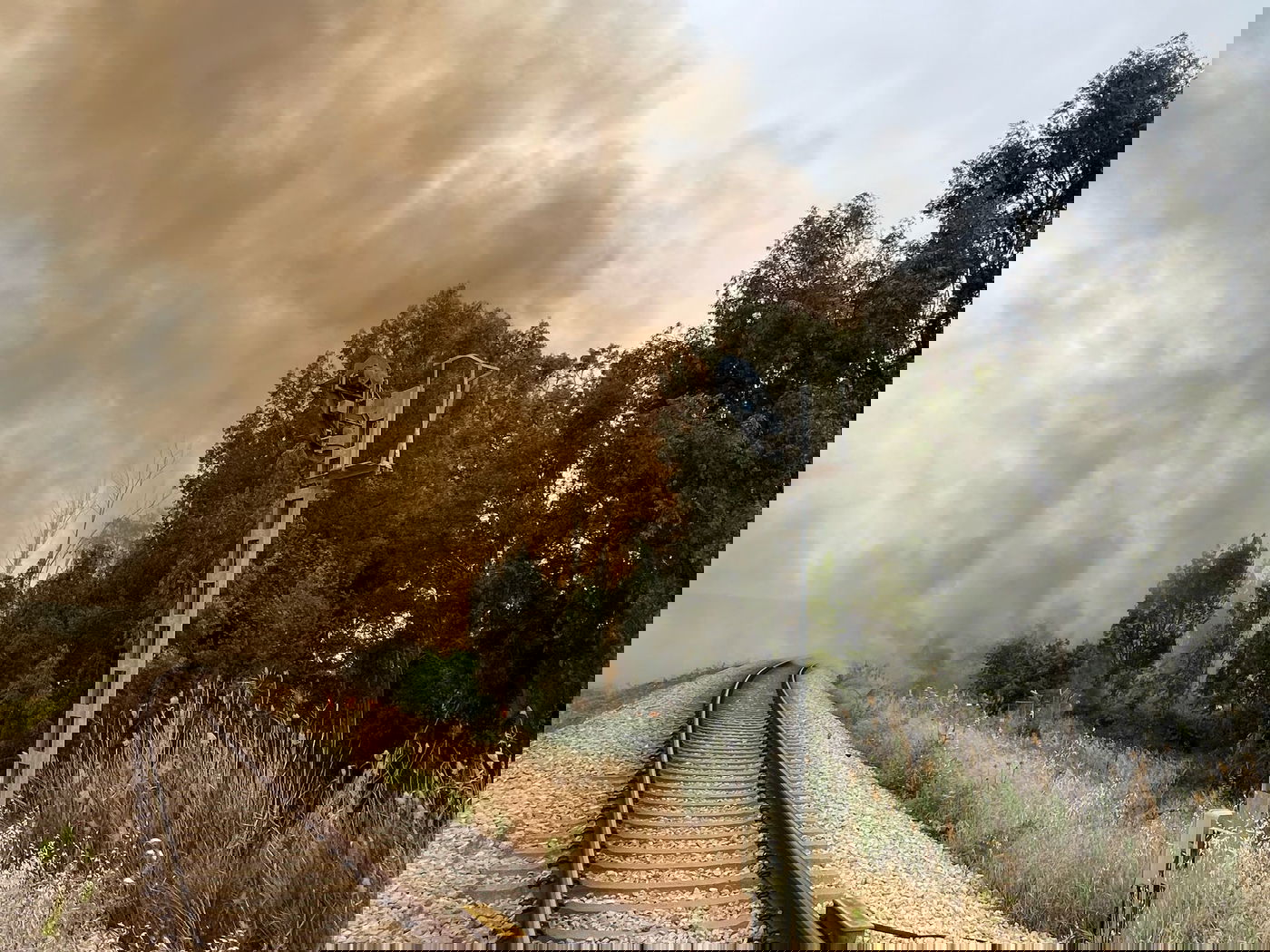 השריפה בסמוך לכביש 6