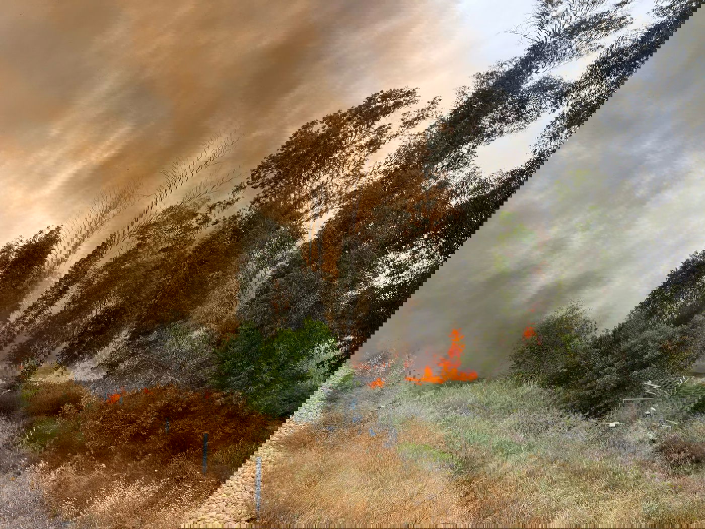 השריפה בסמוך לכביש 6