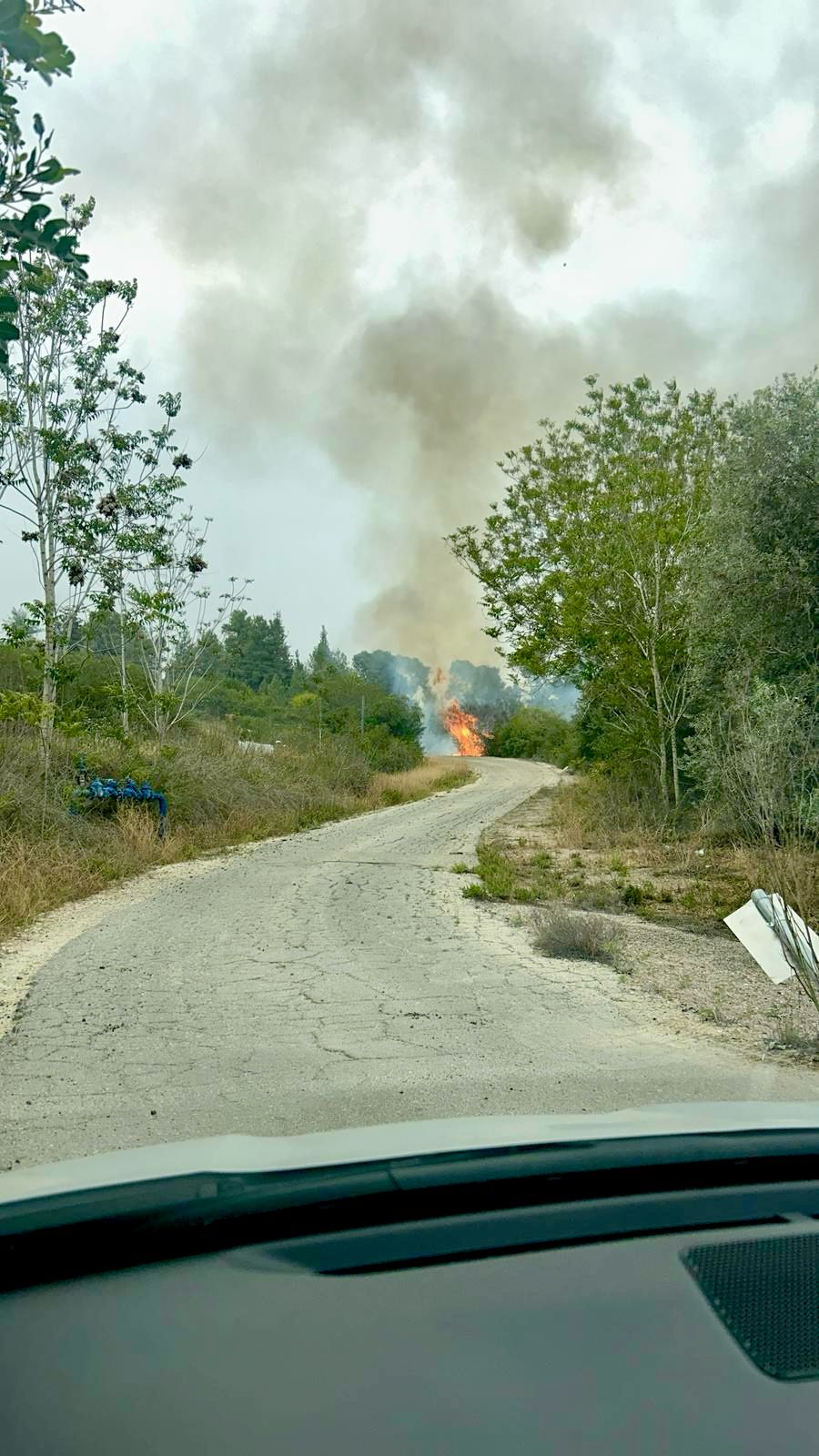 השריפה בכניסה למושב תרום
