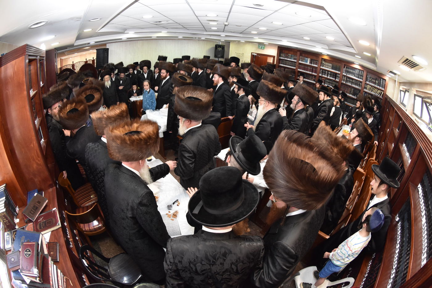 פדיון הבן לנין האדמו"ר ה'עקבי אבירים' מסאדיגורה זצ"ל