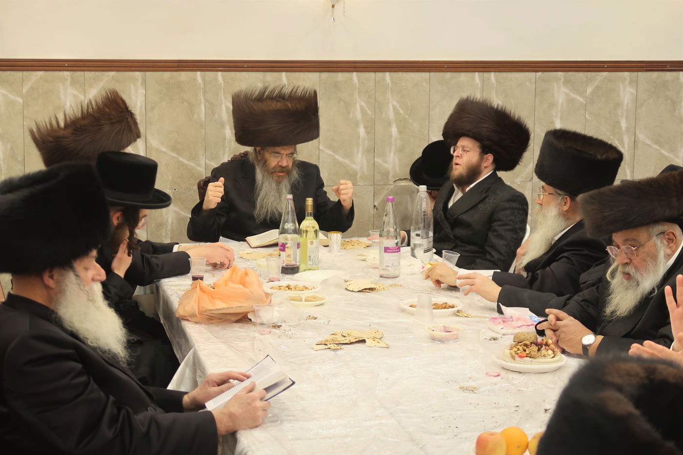 חג הפסח בחצה"ק טריסק