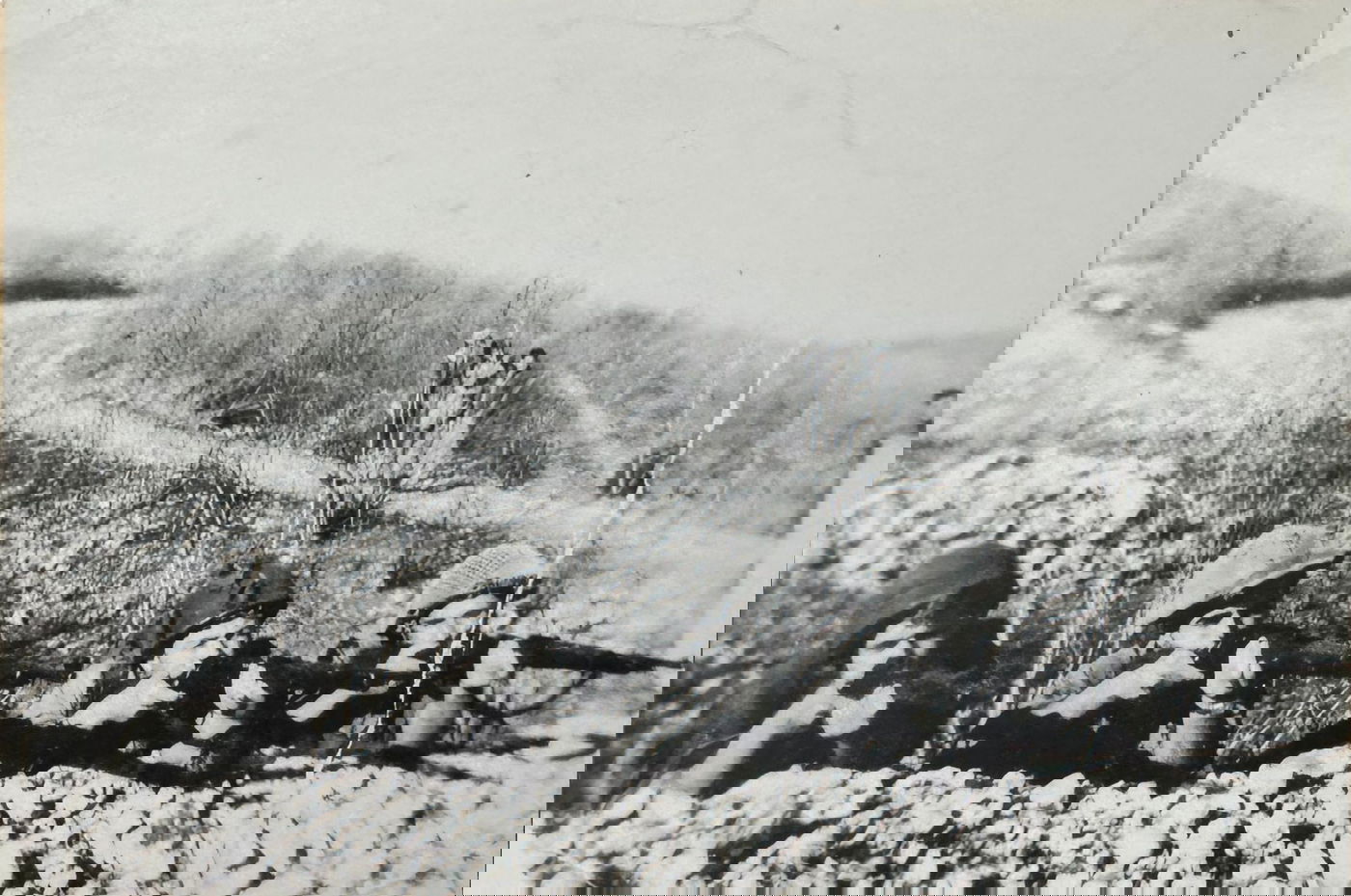 יוסף לביא מתועד ראשון מימין, לאחר שעלה ארצה בתום המלחמה והתגייס לפלמ"ח. במלחמת העצמאות הוא לחם בקרבות הקשים על פריצת הדרך לירושלים הנצורה. את הטלית שקיבל בברגן בלזן שמר יוסף עד יומו האחרון - כסמל לאמונה. לתקווה. לניצחון