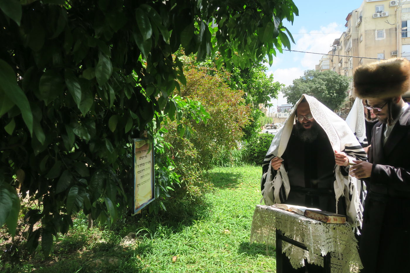 חג הפסח בחצה"ק ספינקא רמת אהרן