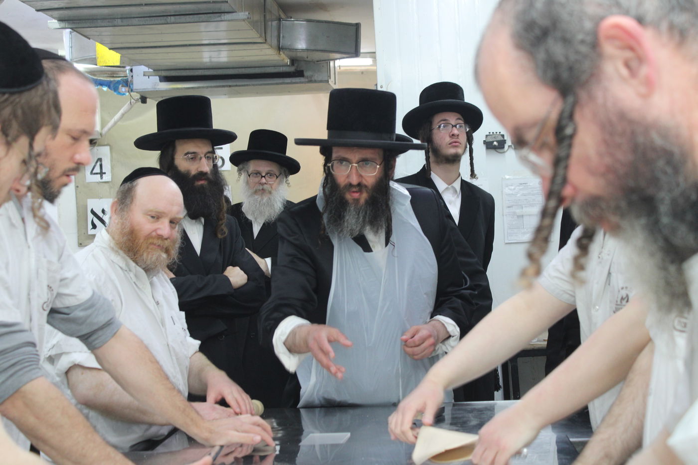 חג הפסח בחצה"ק ספינקא רמת אהרן