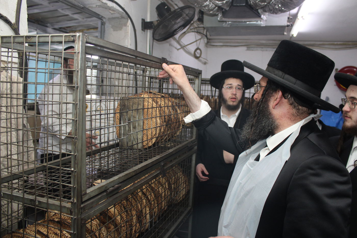 חג הפסח בחצה"ק ספינקא רמת אהרן