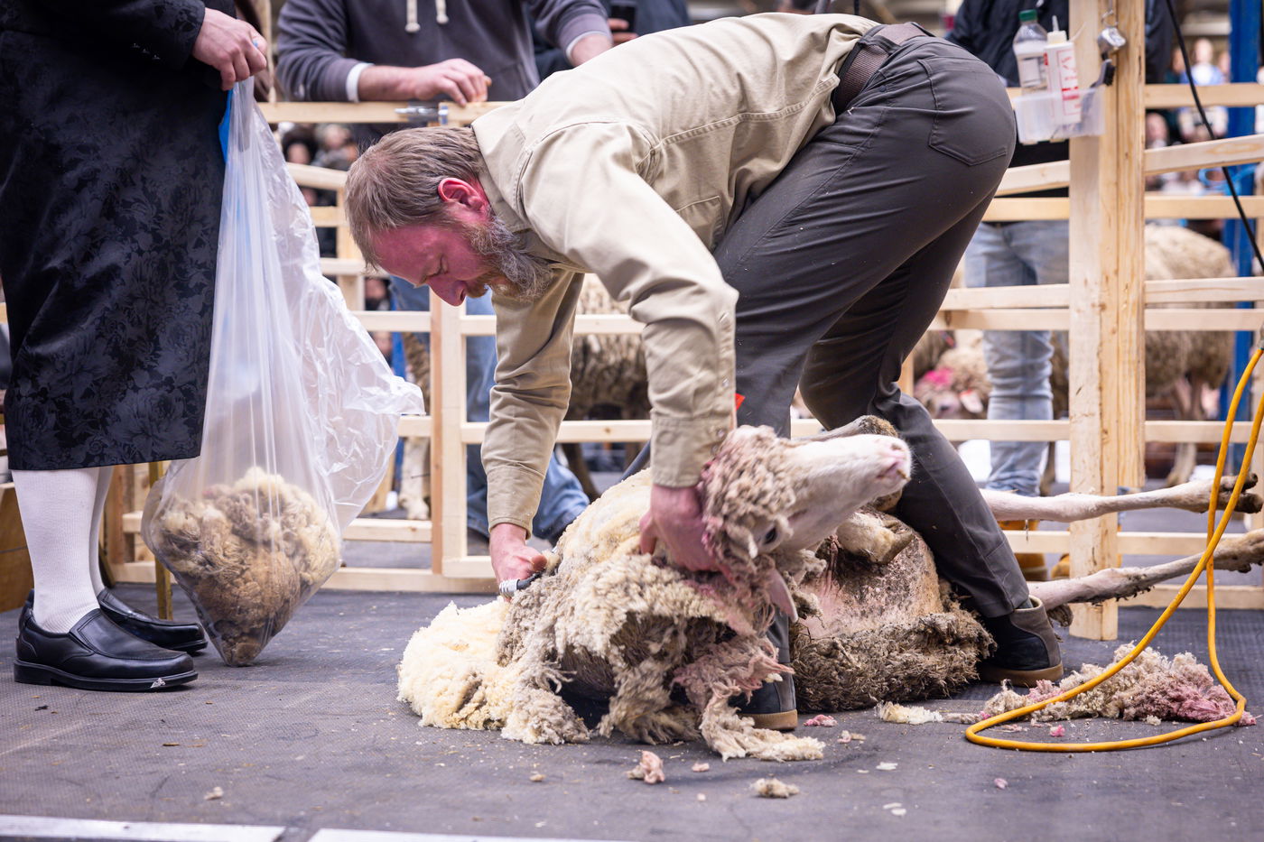 מעמד מתנת כהונה בבאבוב