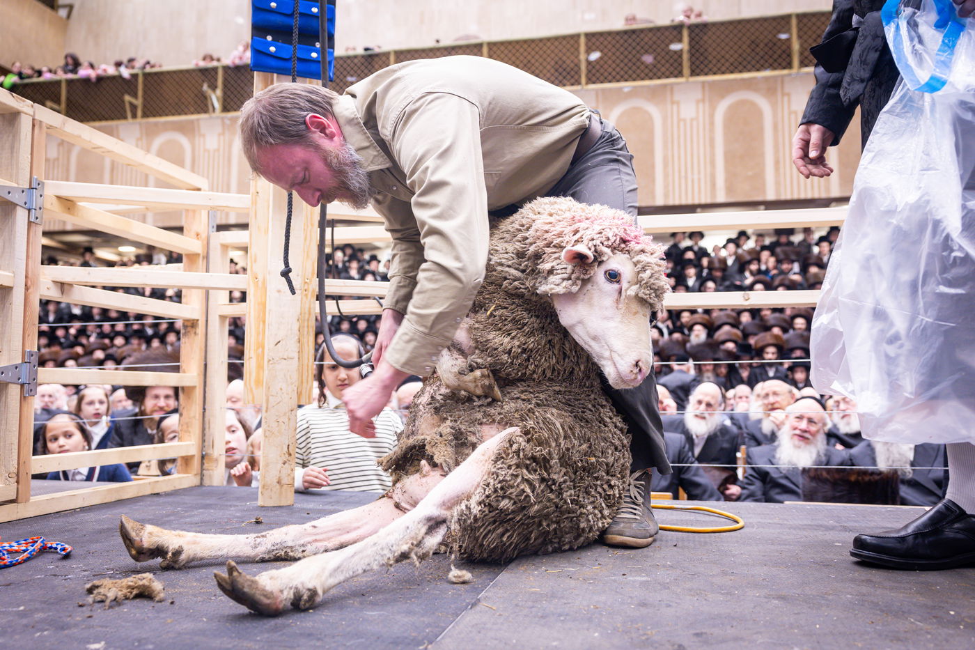 מעמד מתנת כהונה בבאבוב