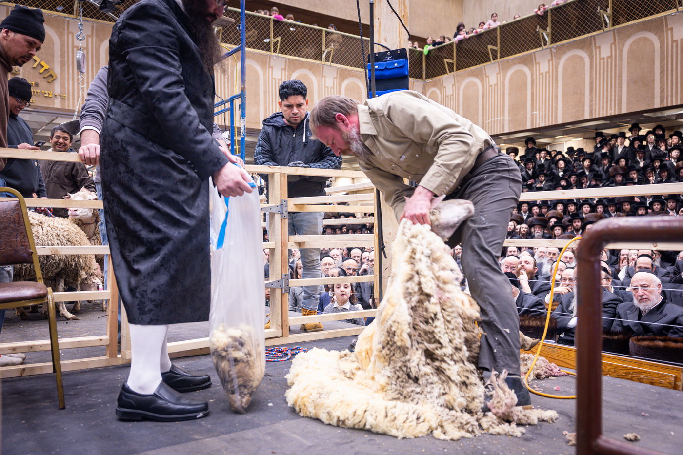 מעמד מתנת כהונה בבאבוב