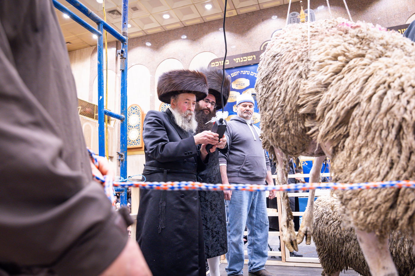 מעמד מתנת כהונה בבאבוב