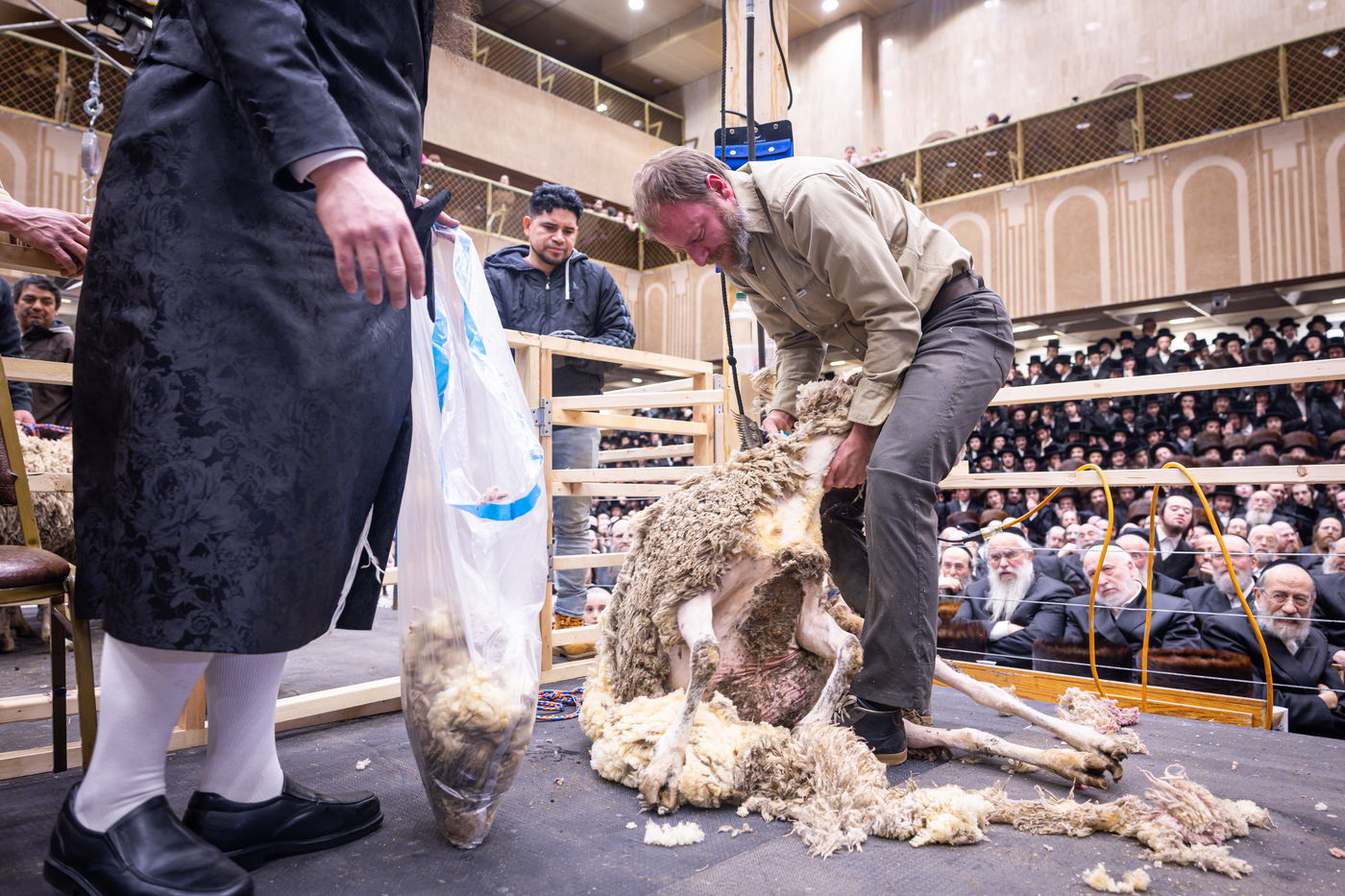 מעמד מתנת כהונה בבאבוב