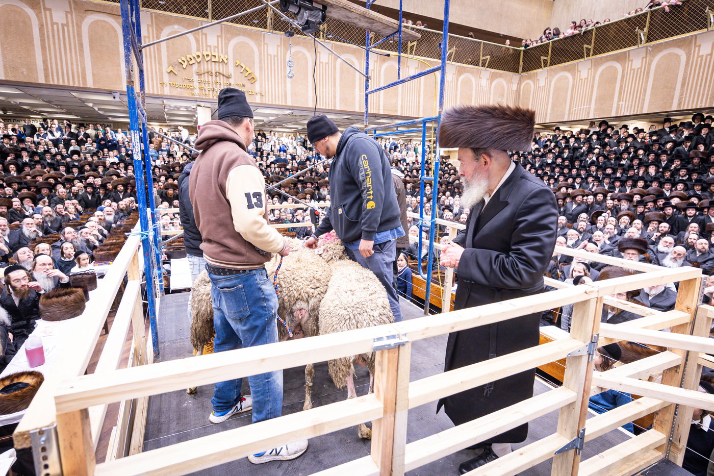 מעמד מתנת כהונה בבאבוב