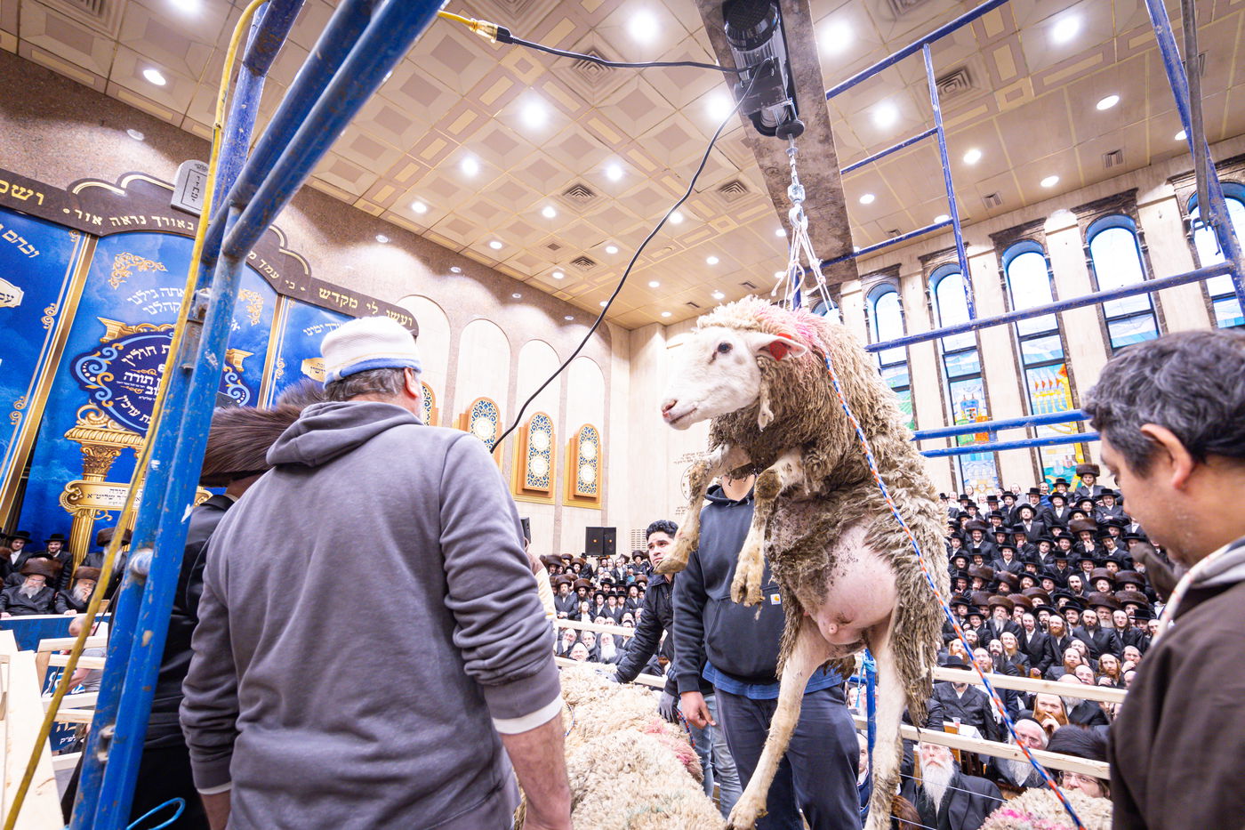 מעמד מתנת כהונה בבאבוב