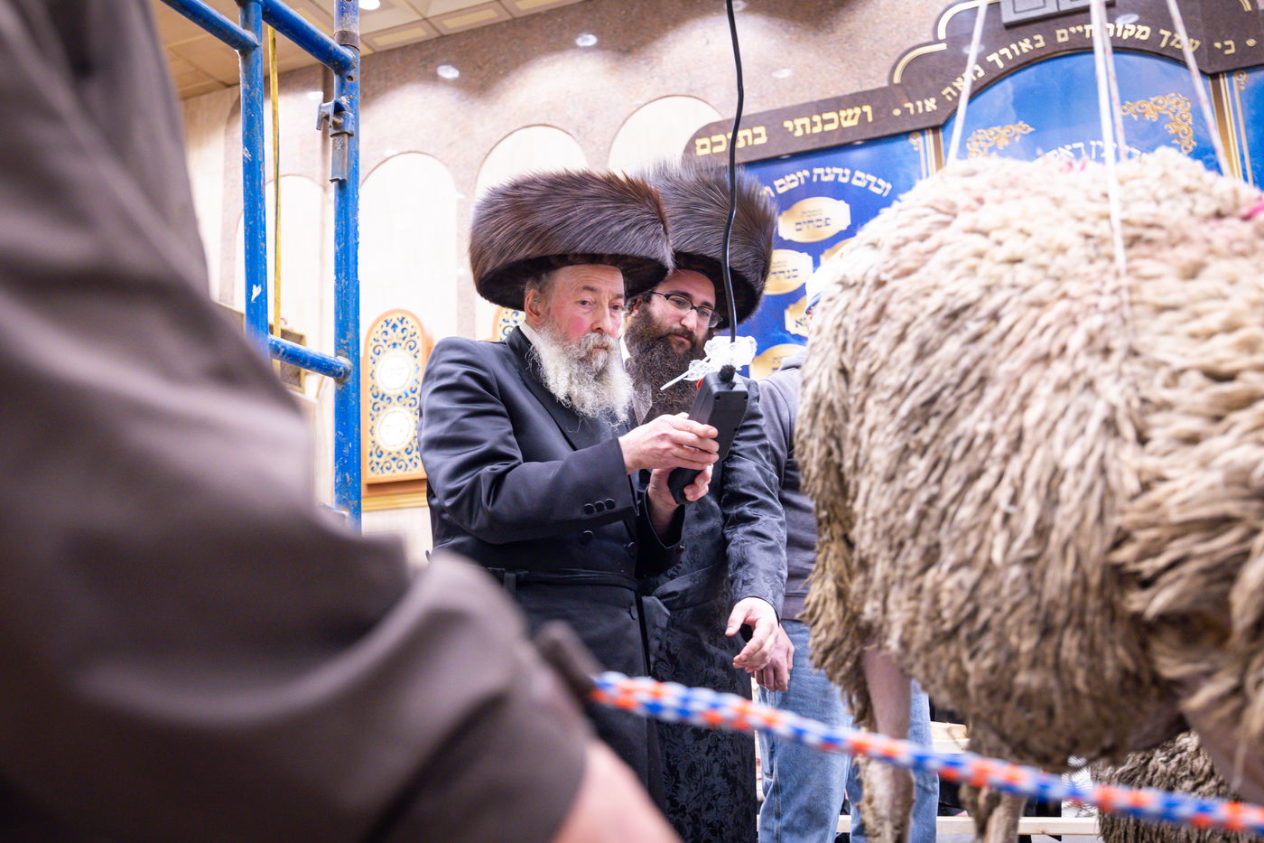 מעמד מתנת כהונה בבאבוב