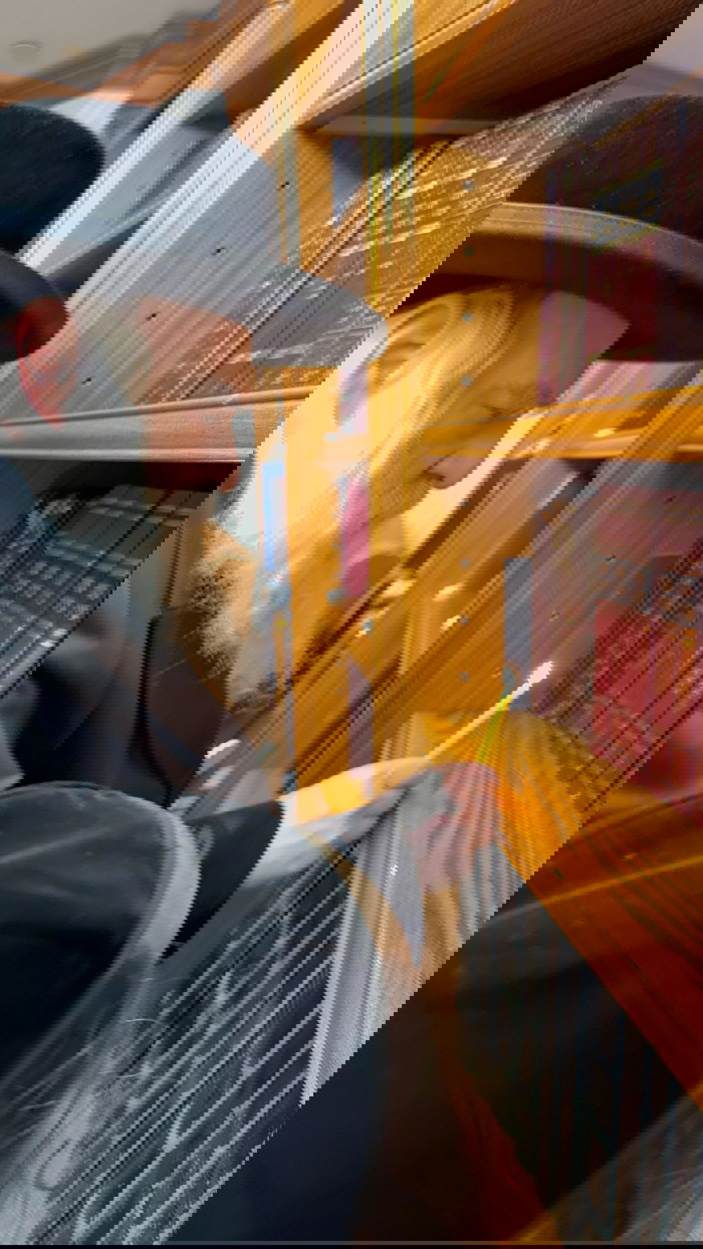 חג הפסח בחצה"ק קראלי