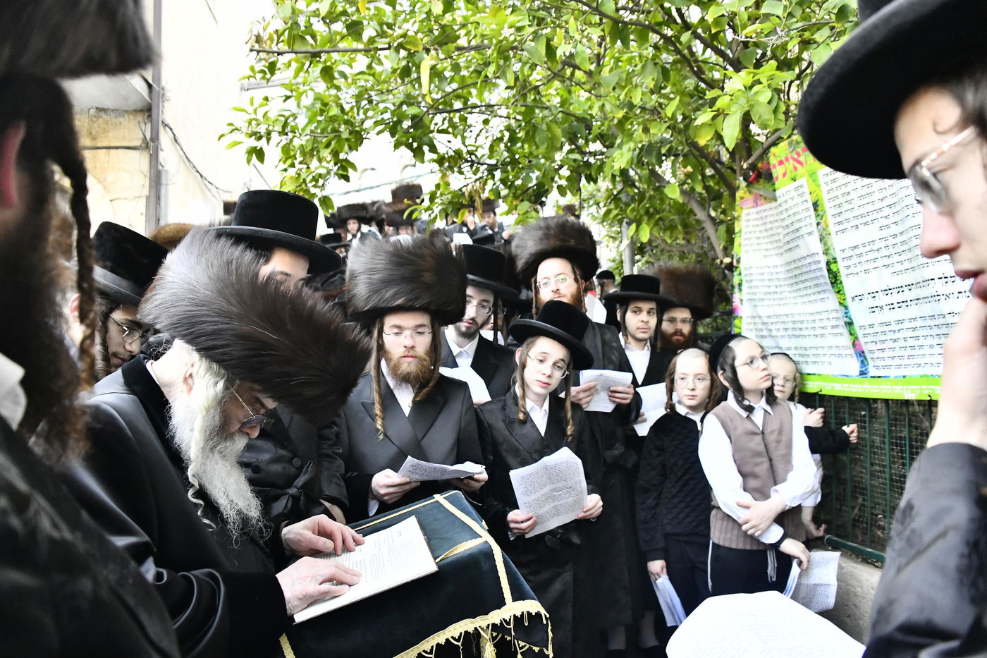 האדמו"ר מקרעטשניף י-ם בברכת האילנות