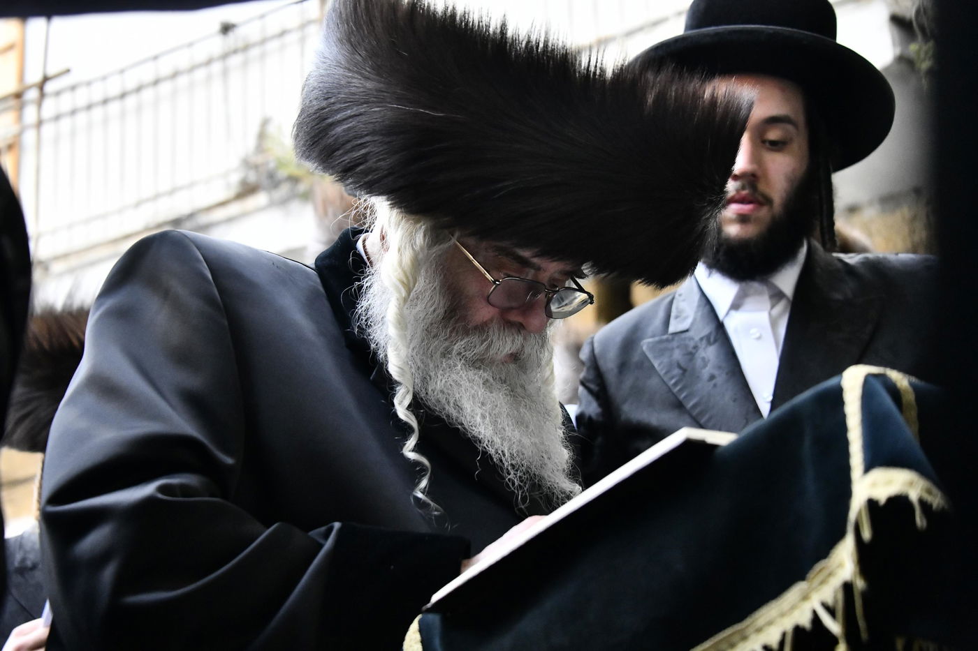 האדמו"ר מקרעטשניף י-ם בברכת האילנות