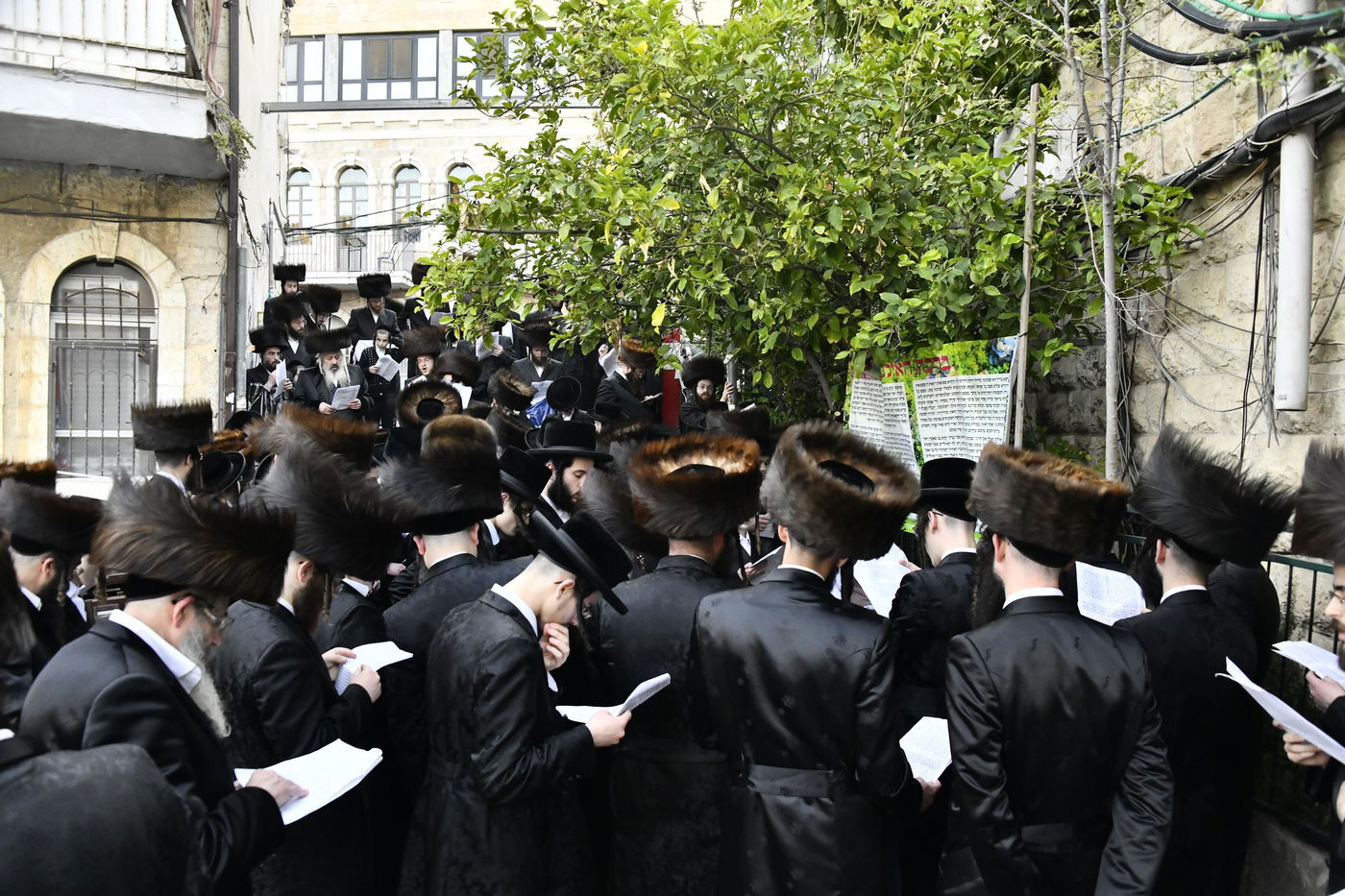 האדמו"ר מקרעטשניף י-ם בברכת האילנות