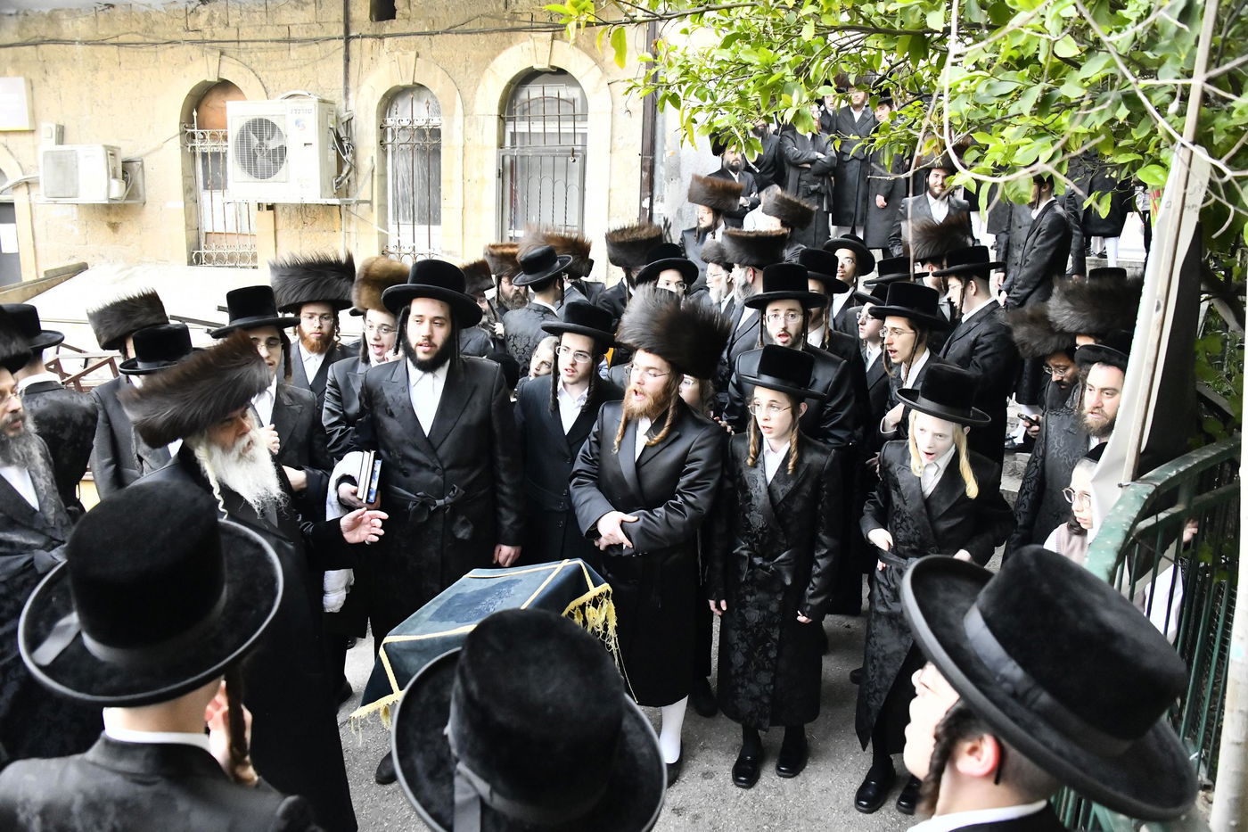 האדמו"ר מקרעטשניף י-ם בברכת האילנות