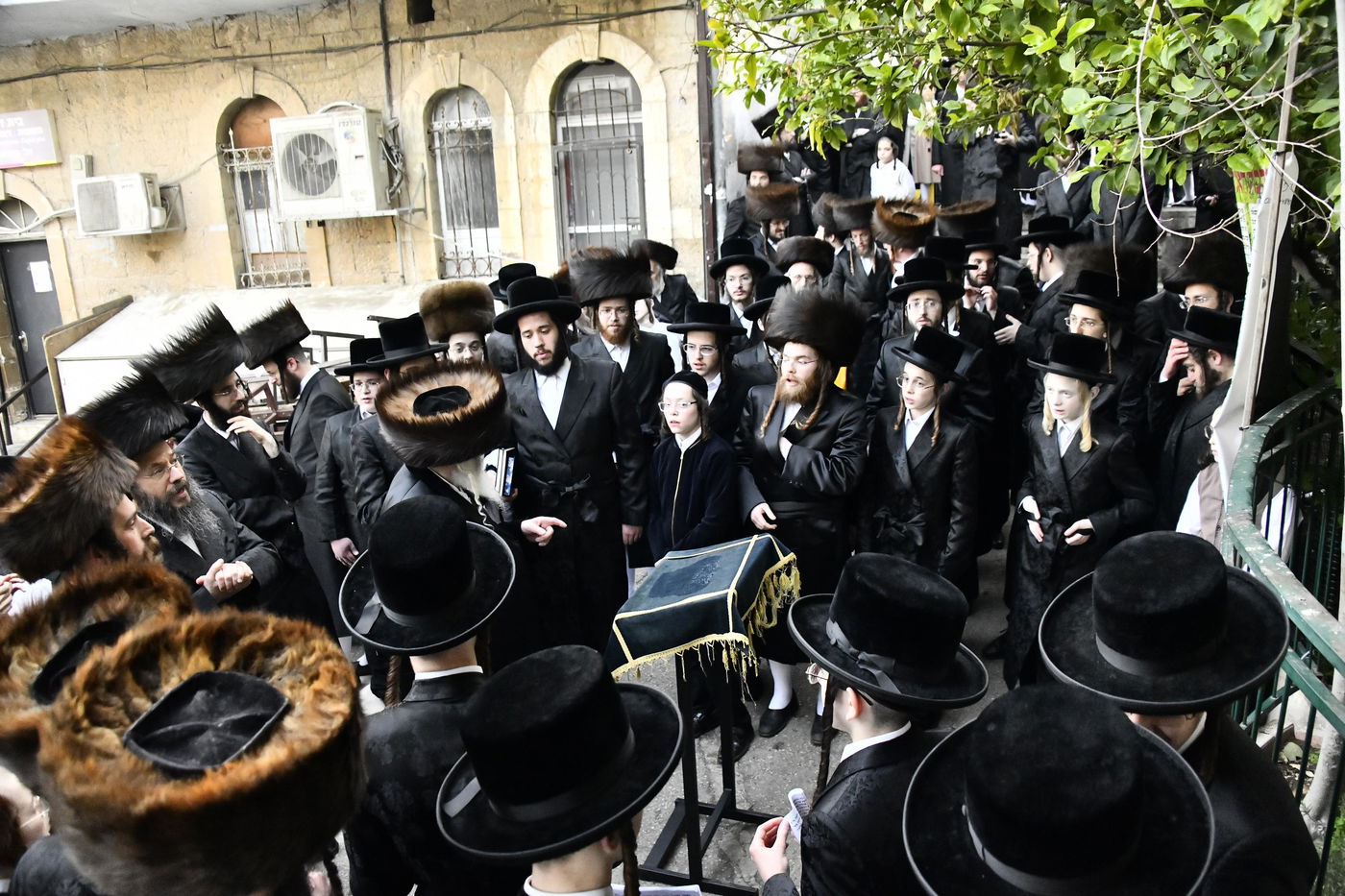 האדמו"ר מקרעטשניף י-ם בברכת האילנות