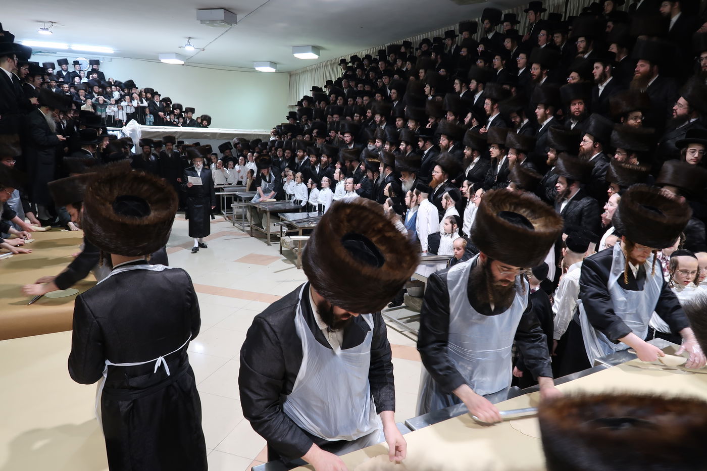 חג הפסח בחצה"ק סערט ויז'ניץ