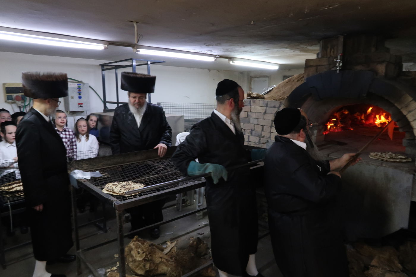 חג הפסח בחצה"ק סערט ויז'ניץ