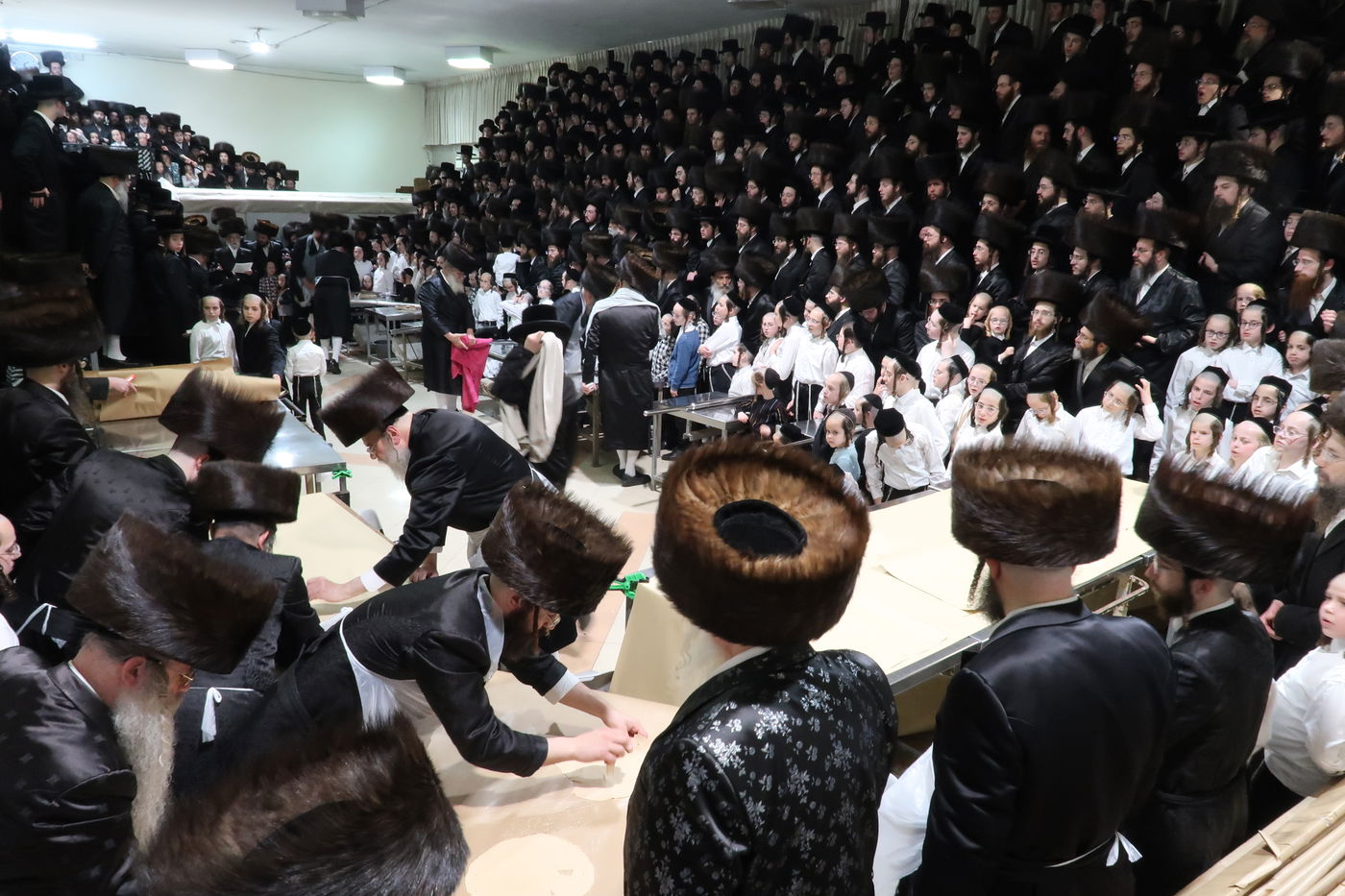 חג הפסח בחצה"ק סערט ויז'ניץ