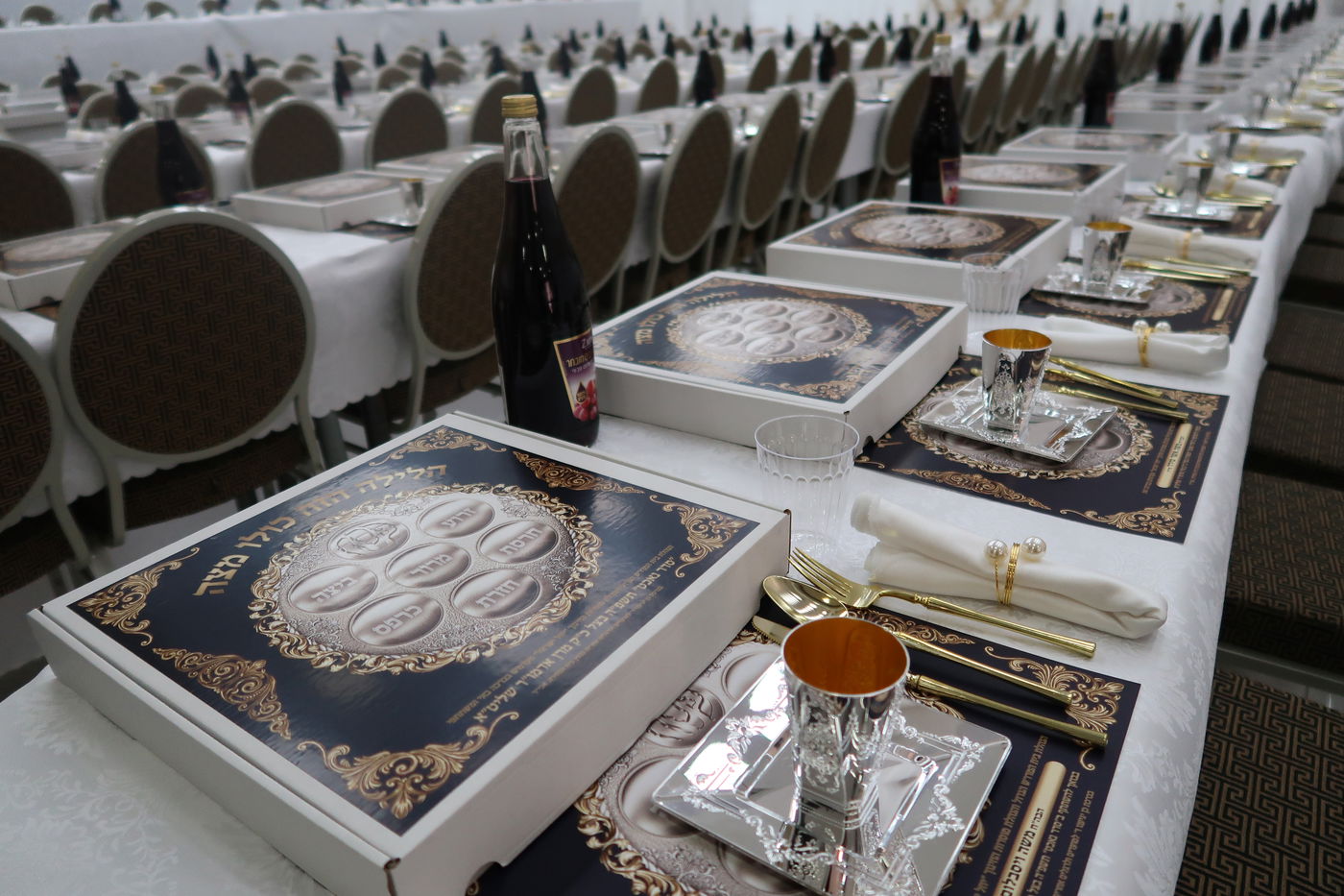 חג הפסח בחצה"ק סערט ויז'ניץ